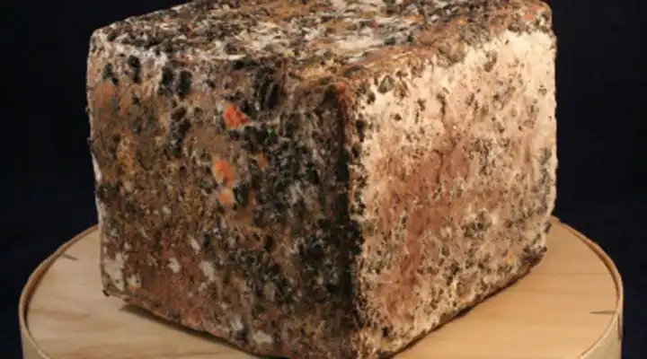 Formaggio con vinacce di Cremonesi
