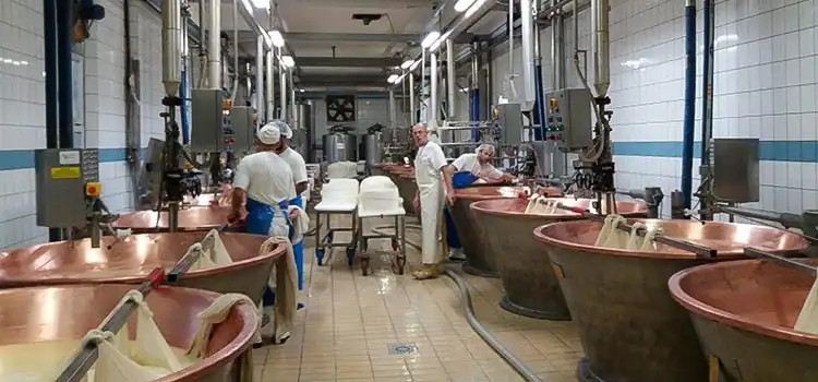 Interno della Latteria Pizzighettone