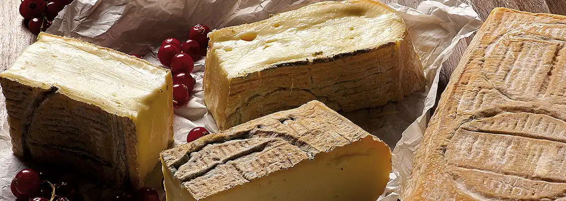 Taleggio Dop