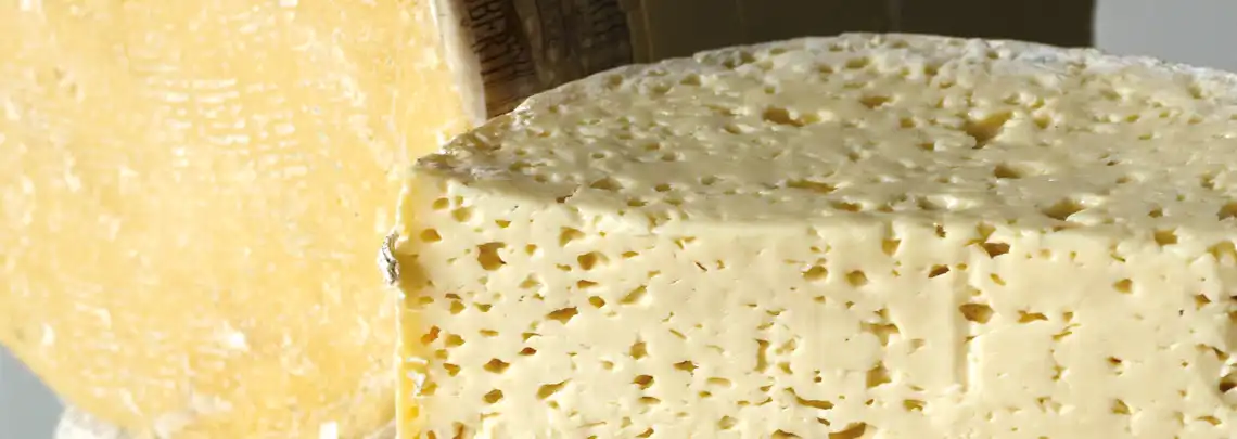 Pannerone